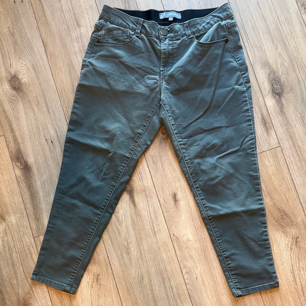 WIT & WISDOM Soft Stretchy Light Green Gray Skinny Jean Style Long Pants